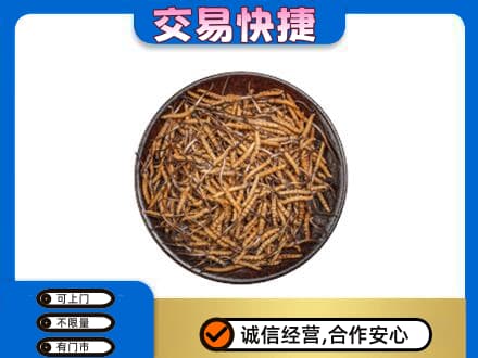 南京市雨花台回收散虫草
